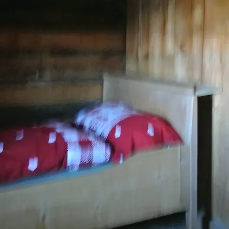 Lodge Alphuette